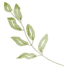 Green plant - 4, branch isolated on white background. Watercolour - vector 12.