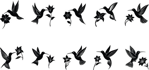 Flying Hummingbird vector silhouette illustration