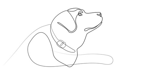 Linear drawing of Labrador. Dog is man's best friend. Adult dog, minimalism. Pet tattoo. Stylized illustration of a pet