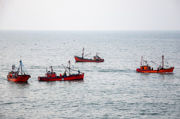 a fleet of small fishing boats fishing off the coast of Mar del Plata	