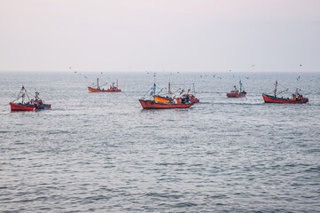 Obraz premium a fleet of small fishing boats fishing off the coast of Mar del Plata
