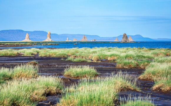 Limestone prehistoric chimneys geological rock formations in the middle of salt lake Abbe, Dikhil region, Djibouti