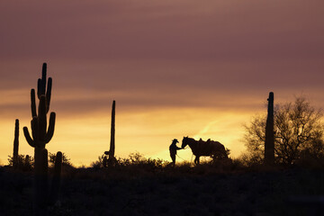 Female ranch hand, or cowgirl, with horse in the sunset on a ranch in Arizona, USA.