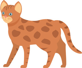 Illustration of a bengal cat standing proudly showing its stripes