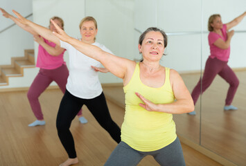 Fototapeta premium Group of adult women warming up before dance training in fitness center