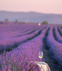 Glass of white wine in a lavender field. Violet flowers on the background.
