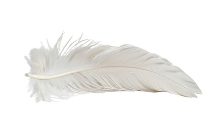 Obraz premium White feather on white background 