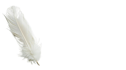 Obraz premium White feather on white background 