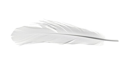 Obraz premium White feather on white background 