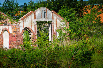 Overgrown Ruins of a Brick Building in a Lush Forest