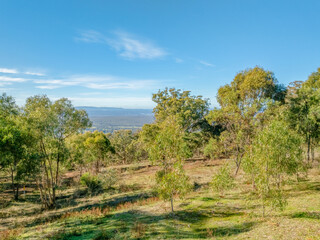 Mount Tarrengower Lookout, Victoria, Australia