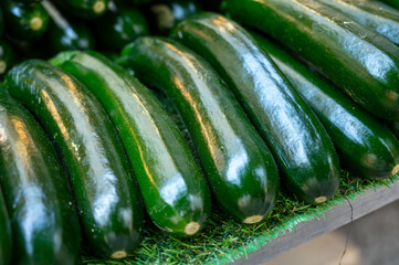 Young green zucchini courgette vegetables on local farmers market in Dordogne, France close up