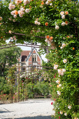 Obraz premium Blossom of white rose flowers growing in rosarium in public garden in Arcachon touristic town, France, in sunny day