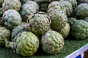 Fototapeta premium Fresh ripe green organic artichokes heads on local farmers market in Dordogne, France