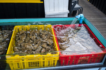 Travelling in France, old wooden huts and oysters farms in Gujan-Mestras village, cultivation and...