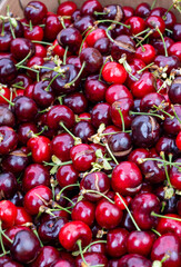 New season of ripe red sweet cherry summer fruits, cherry for sale on farmers market