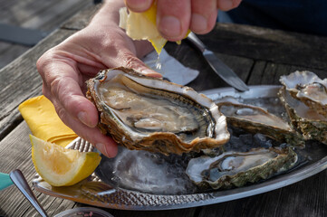 Eating of fresh live oysters with citron at farm cafe in oyster-farming village, Arcachon bay, Gujan-Mestras port, Bordeaux, France in sunny day, huge oyster