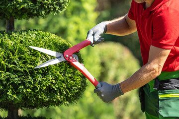 Gardener Trimming Bush With Shears in the Garden