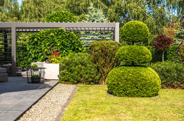 Lush Backyard With Trimmed Bushes and Pergola