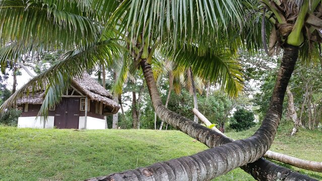 Bungalow sous les cocotiers Madagascar