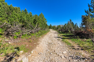 Fototapeta premium Summer Landscape of Rila mountain near Granchar Lake, Bulgaria