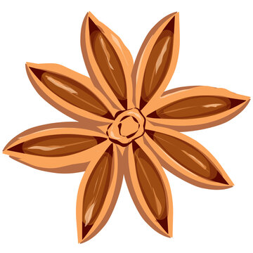recommend clip art: Star anise Illustration 