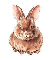 Watercolor bunny naturalistic fluffy cute