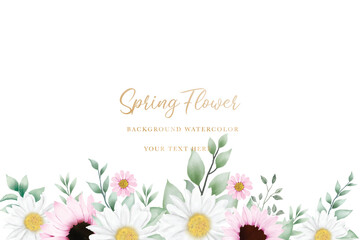 Hand drawn watercolor daisy flower background design