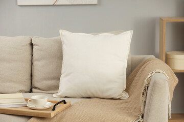 Soft white pillow, blanket and books on sofa indoors