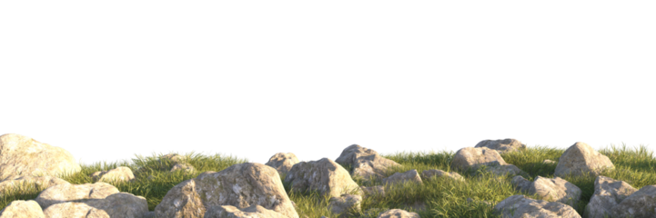 grass field small plant and stones, rocks in grassy field
