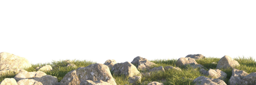 grass field small plant and stones, rocks in grassy field
 - Powered by Adobe