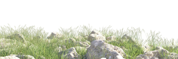 grass field small plant and stones, rocks in grassy field
