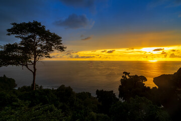 Silhouette of a tree in the beach with colorful sunset over the ocean in the background