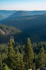 Pine forest and mountains in Lassen Volcanic National Park, California, United States of America.