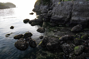 Fototapeta premium 初夏の奥松島
