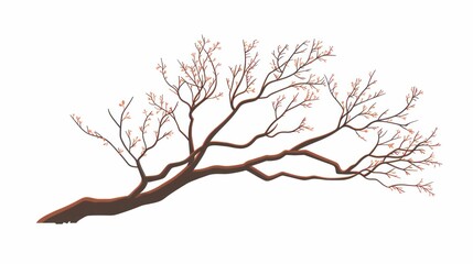 Obraz premium Bare winter tree branches on white background nature landscape minimalist design concept illustration