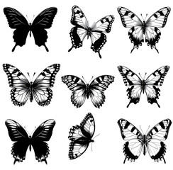 Obraz premium set of butterflies silhouettes, isolated on white background