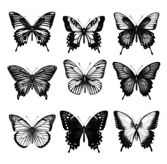 set of butterflies silhouettes, isolated on white background