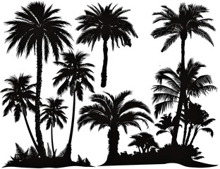 silhouettes of palm trees on white background