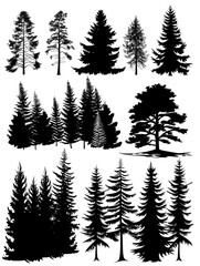set of black silhouette pine tree forests on white background