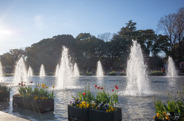 fountain of water pool in ueno park