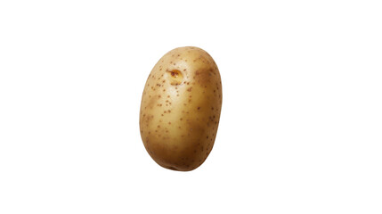 Fototapeta premium Potato on white background