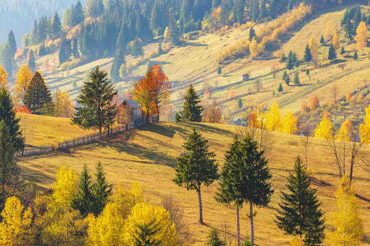 Europe, Romania, Prahova County, Bucegi mountains, Busteni.Rural views of wood structures and buildings.
