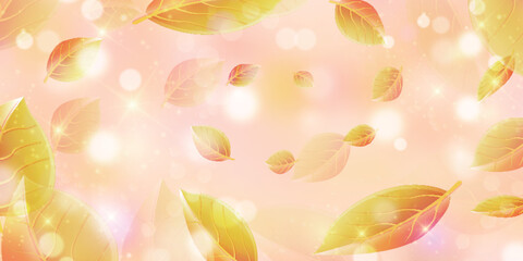 紅葉　葉　秋　背景	