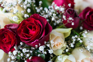 The flowers are fresh and vibrant, giving off a sense of love and romanceA bouquet of red roses with white flowers.