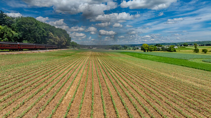 A Red Passenger Train Travels Along The Edge Of A Verdant Field With Rows Of Newly Sprouting Crops, Set Against A Vast Blue Sky Dotted With Puffy White Clouds, Creating A Picturesque Countryside Scene