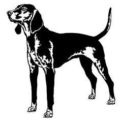 American English Coonhound © VektorzDesign