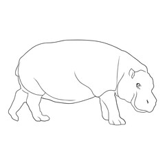 Animals Outline Hippo