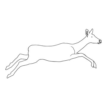 Animals Outline Impala Antelope