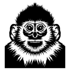 Baby Francois Langur